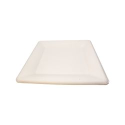 Prato Bagaço Vegetal Biodegradável quadrado 26,3x26,3cm caixa 500 unidades