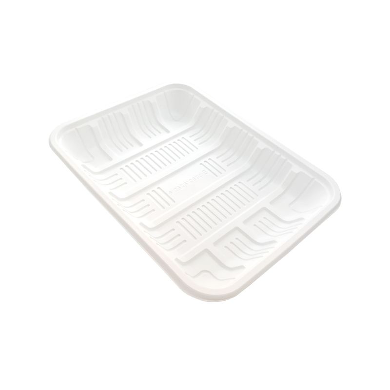 tray-dome-biobased-g